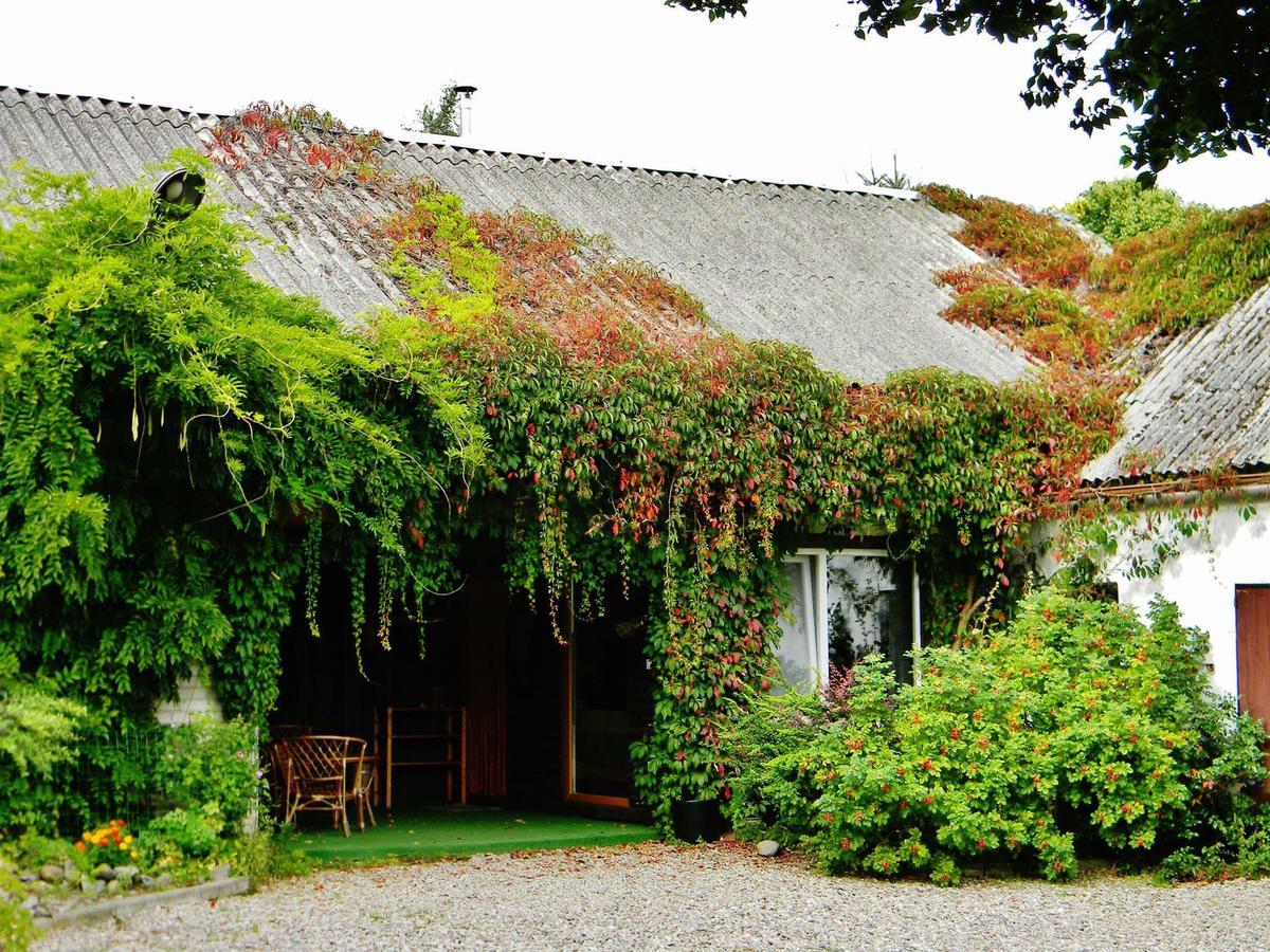 Villa Zakatek Pod Grusza Bedzino Exterior foto